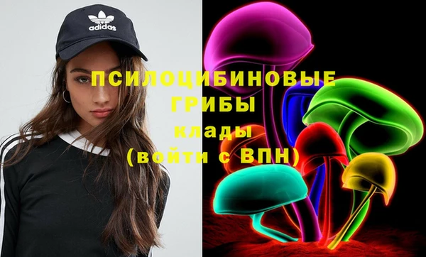 ешки Карпинск